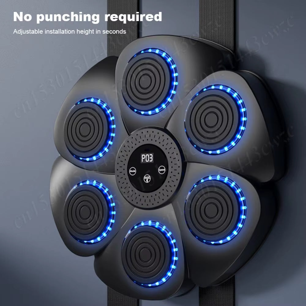 Smart Boxing Target