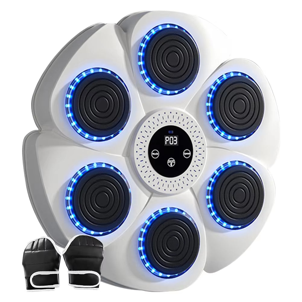 Smart Boxing Target