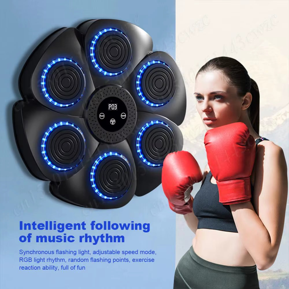 Smart Boxing Target