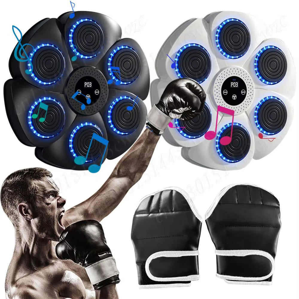 Smart Boxing Target