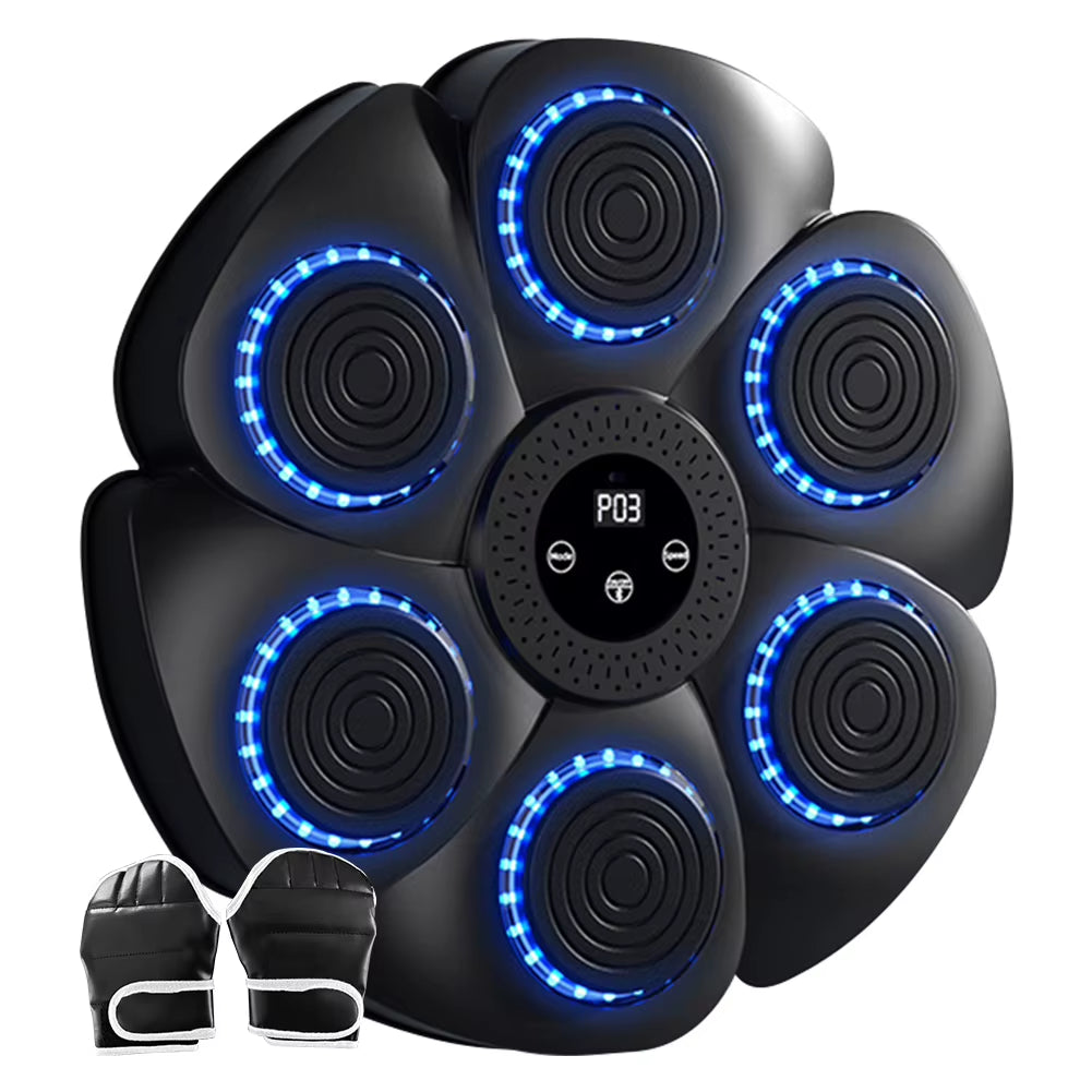 Smart Boxing Target