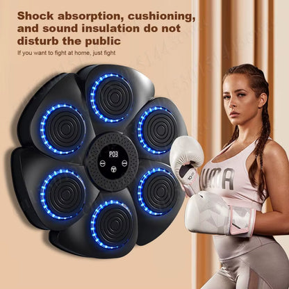 Smart Boxing Target