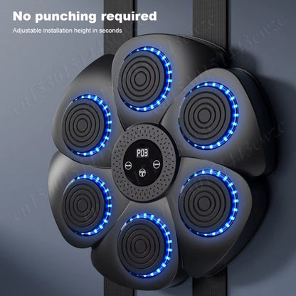 Smart Boxing Target