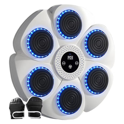 Smart Boxing Target