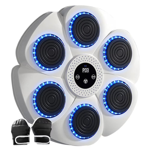 Smart Boxing Target