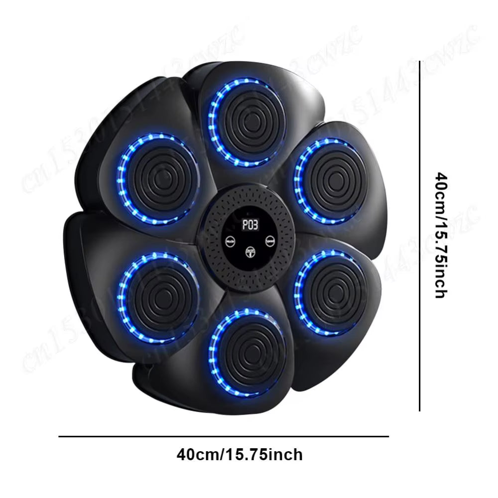 Smart Boxing Target