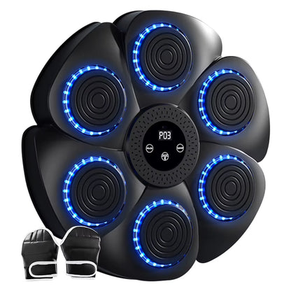 Smart Boxing Target
